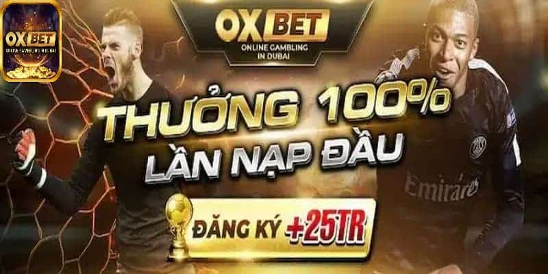 Chương trình khuyến mãi cá độ bóng đá tại OXBET dành cho người mới