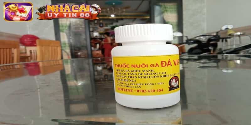 Danh sách top thuốc nuôi gà đá đang phổ biến