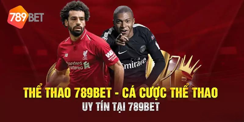 Chia sẻ kinh nghiệm cá độ thể thao trực tuyến